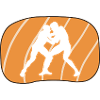 martial arts wrestlers fighters