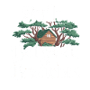 Treehouse builder DIY treehouse construction
