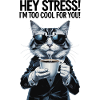 Stress-free cat with coffee