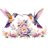 Hummingbird - Delicate, fast, fascinating