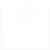 Raised By Libraries 3
