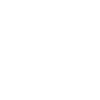 FAMILY CEO