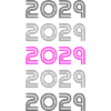 Retro 2029