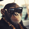 Cool Ape