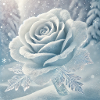 Schnee Rose