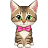 Chat mignon
