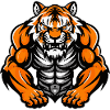 Tiger Muscles Bodybuilding