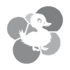 Beaked duck