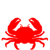 Crab