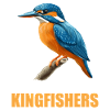Kingfishers Kingfisher