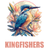 Kingfishers Kingfisher