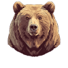 Kodiak Bear Kodiak Bear