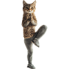 Scheunenkatze
