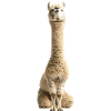 Alpaka