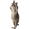 Chinchilla