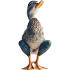 Ente