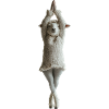 Schaf