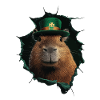 St. Patrick's Wasserschwein