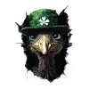 St. Patrick's Emu