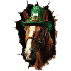 St. Patrick Pferd