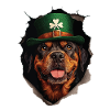 St. Patrick Hund