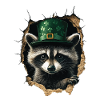 St. Patrick Waschbär