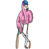 Flamingo Cricket Batte de cricket