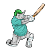 Rhino Cricket Cricket Bats
