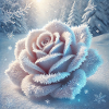 Schnee Rose IV