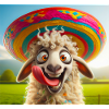 Sheep with Sombrero