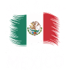Mexique Mexique Mexicain Espagnol