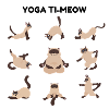 Yoga time cat