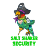 Drôle Pirate Perroquet Salière Sécurité