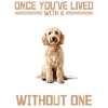 Propriétaire de chien Goldendoodle