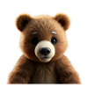 Cute bear
