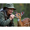 FORESTER feeds BAMBI