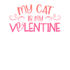 Mon chat est mon Valentin