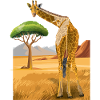Giraffe looks friendly