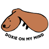 Chien décontracté – Tout simplement détendu