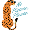 Paparazzi Cheetah