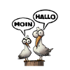 Hello