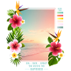 Sea - Sand - Sunset