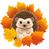 Hérisson et feuilles