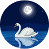 Swan at full moon