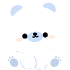 Cute Polar Bear