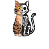 Schrödinger's Cat Dead and Alive