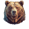 Kodiak Bear Kodiak Bear