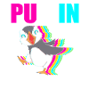 Papageientaucher Puffin