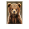 Kodiak Bear Kodiak Bear