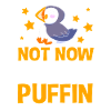 Papageientaucher Puffin
